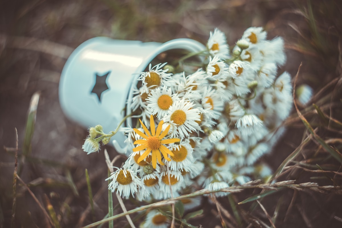 Nutrition and circadian rhythm
